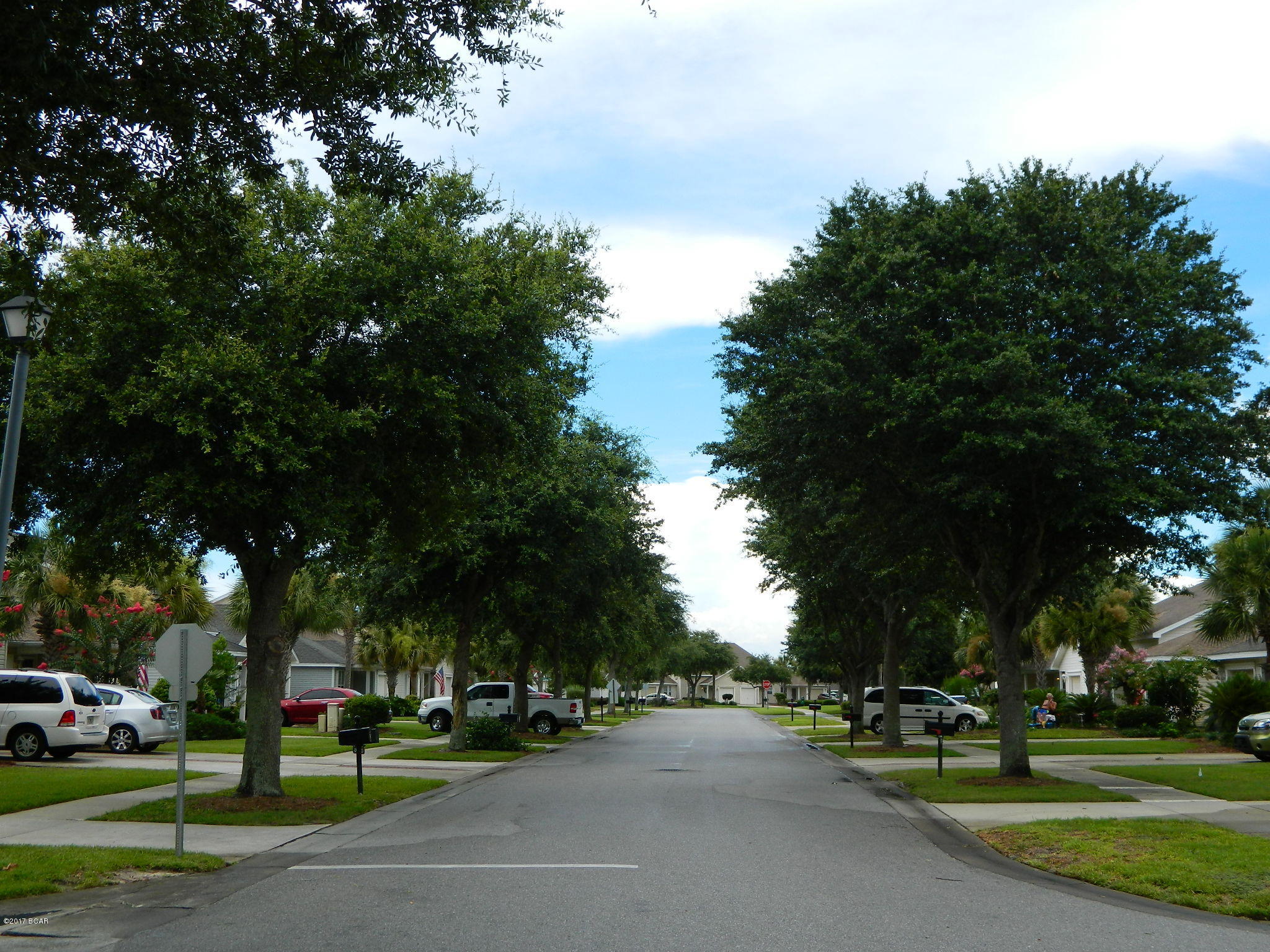 Palmetto Trace - Residential