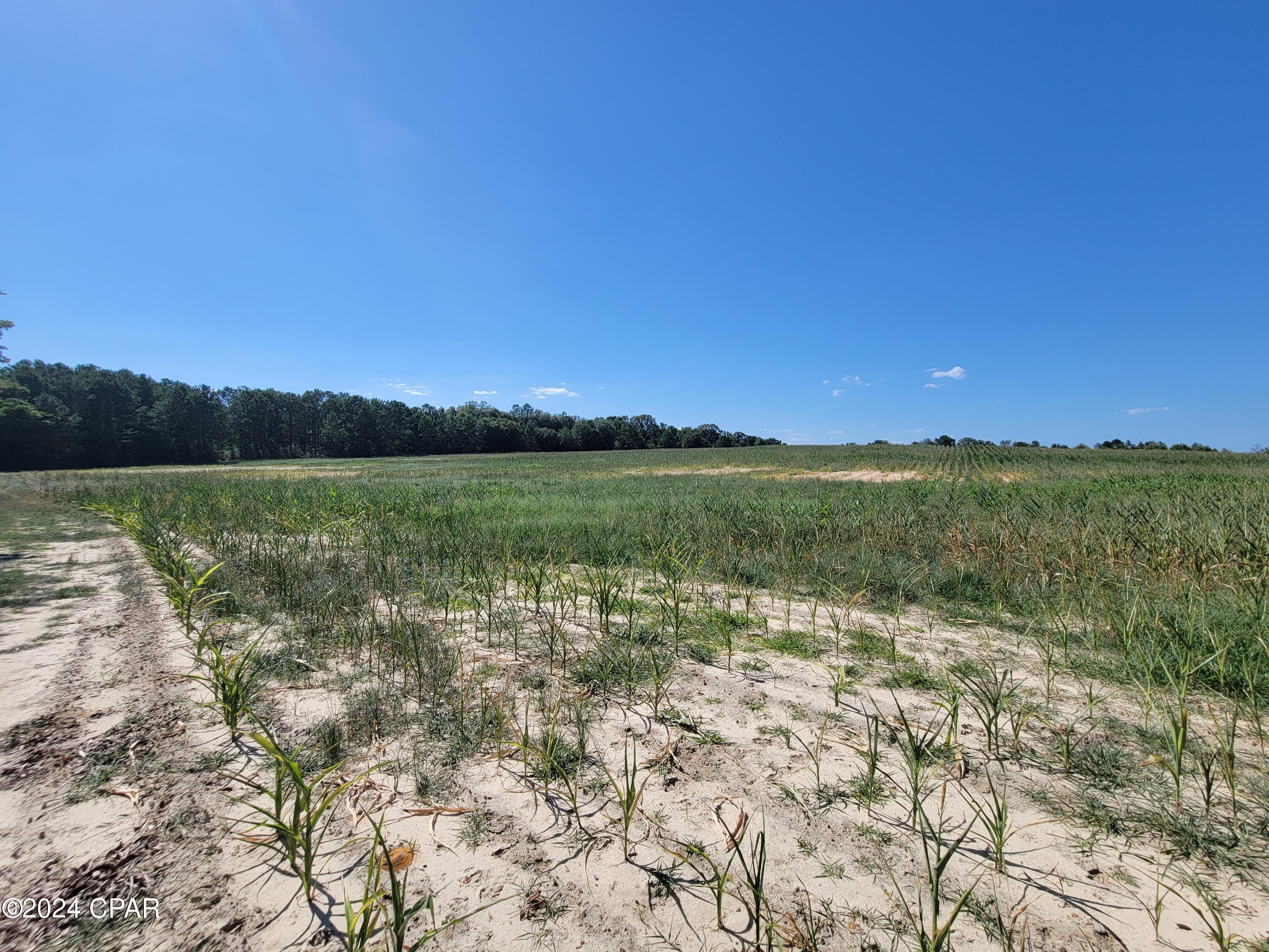 No Named Subdivision - Land