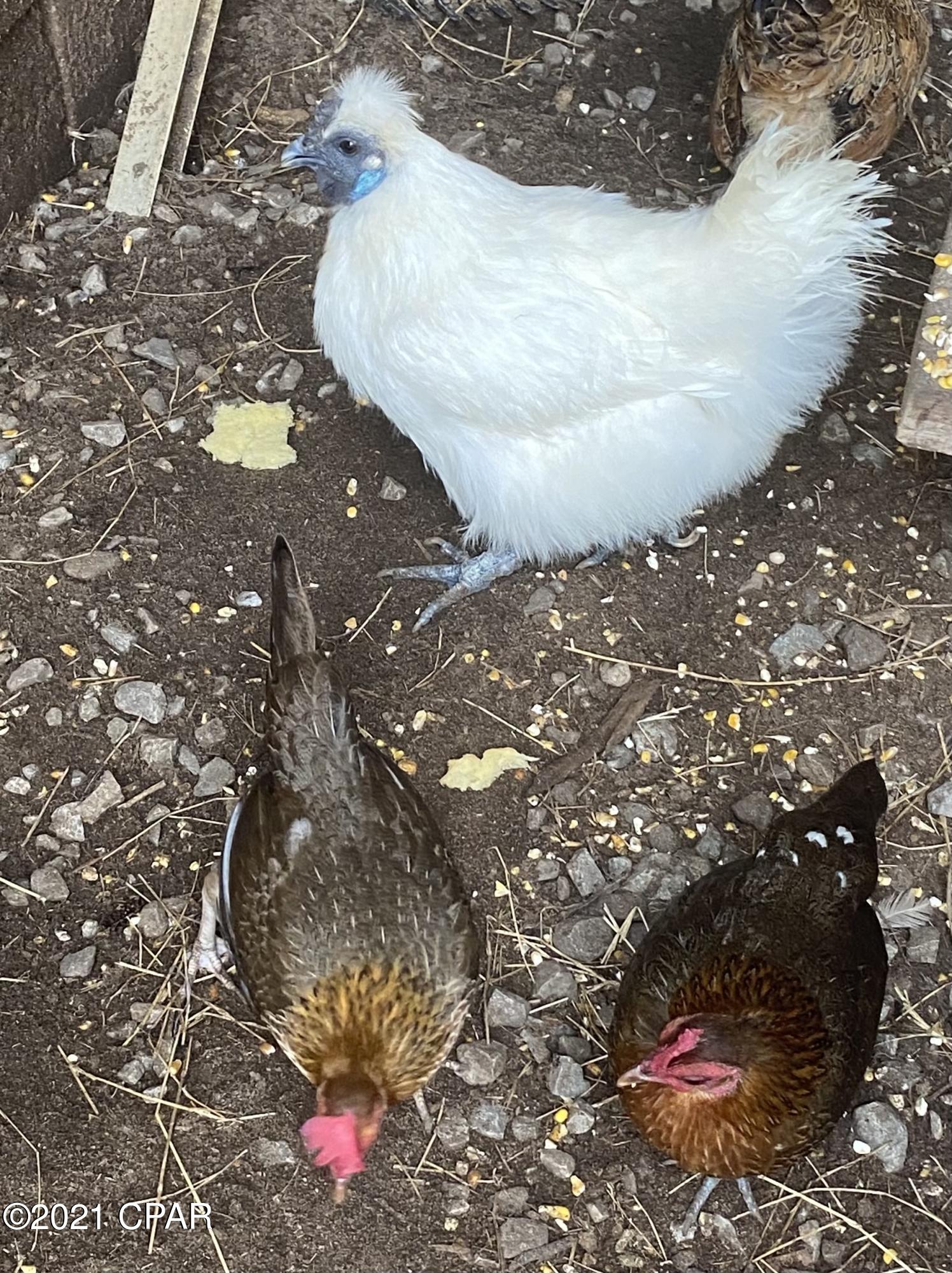 No Named Subdivision - Residential