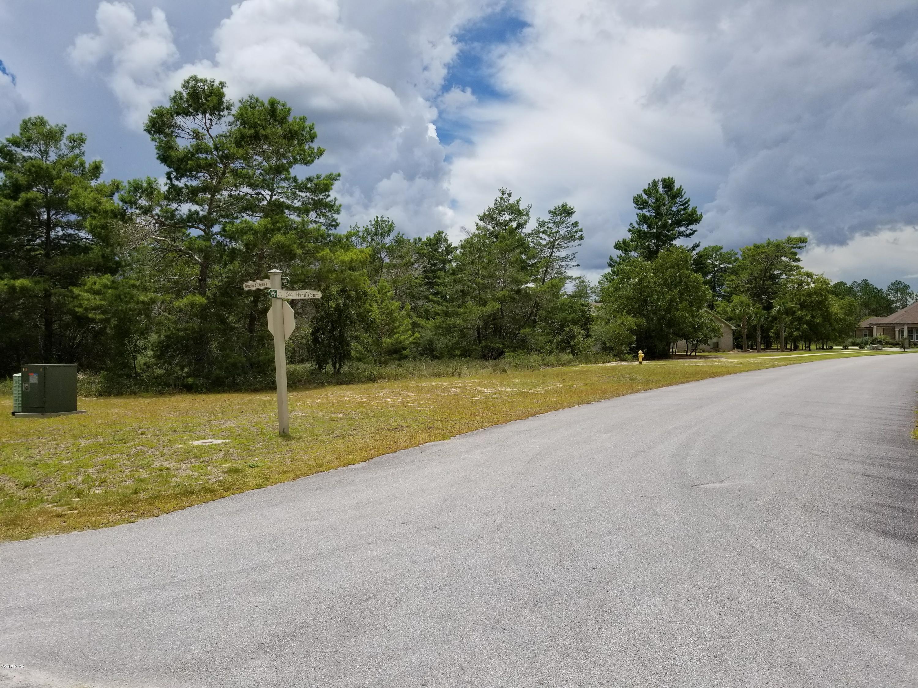 Windswept Estates - Land