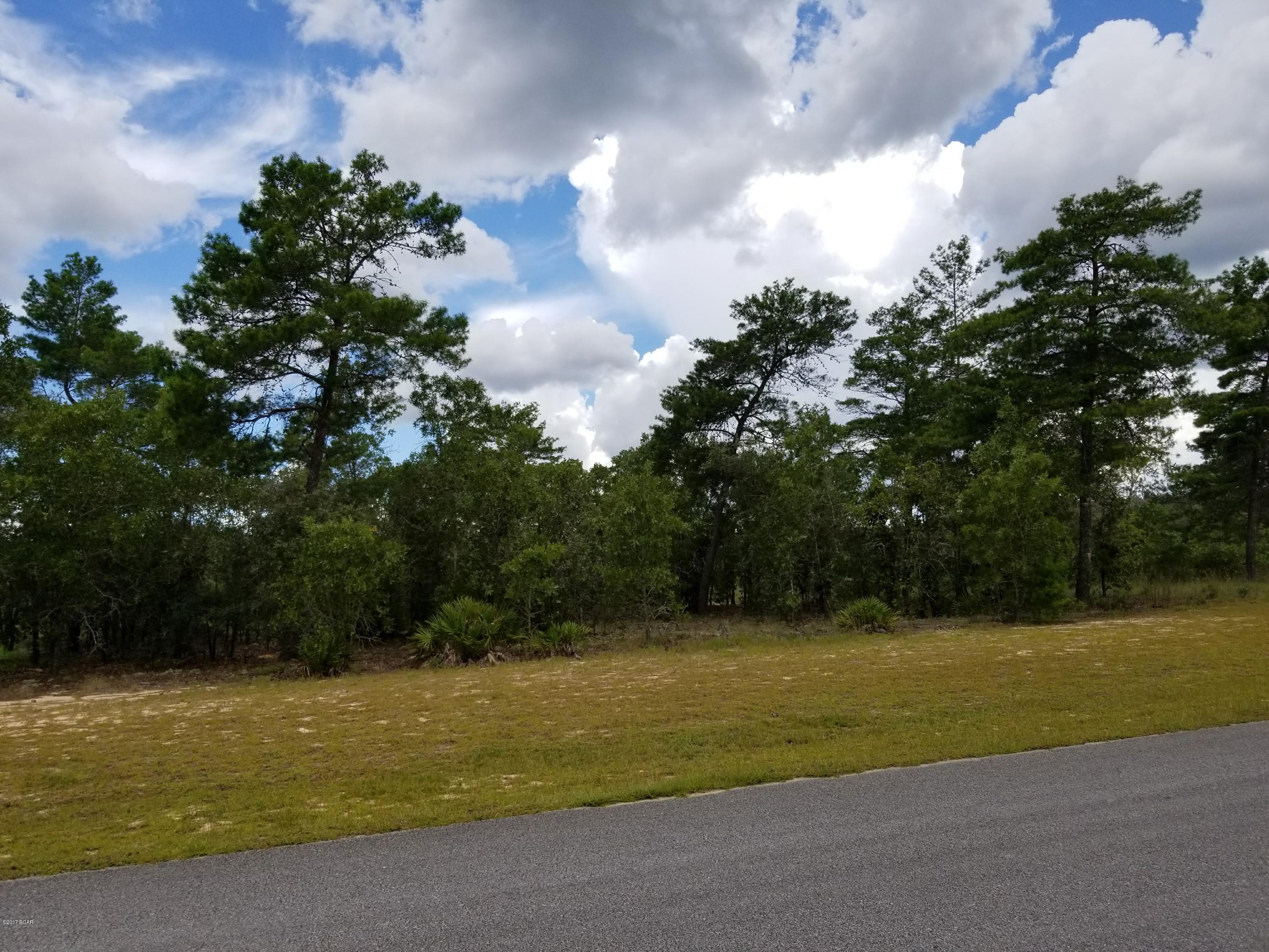 Windswept Estates - Land