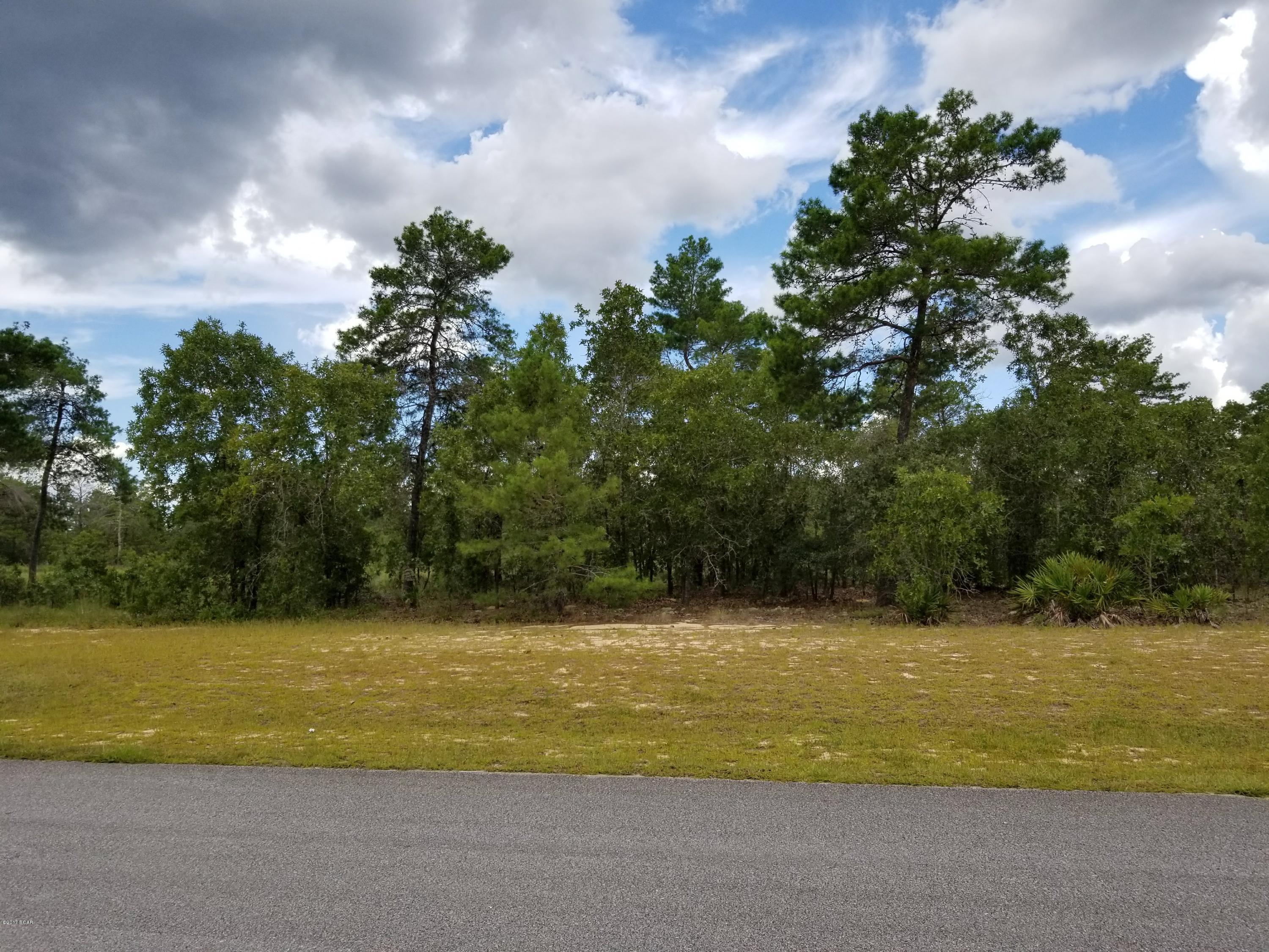 Windswept Estates - Land