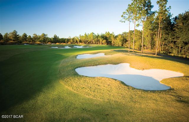 Windswept Estates - Land