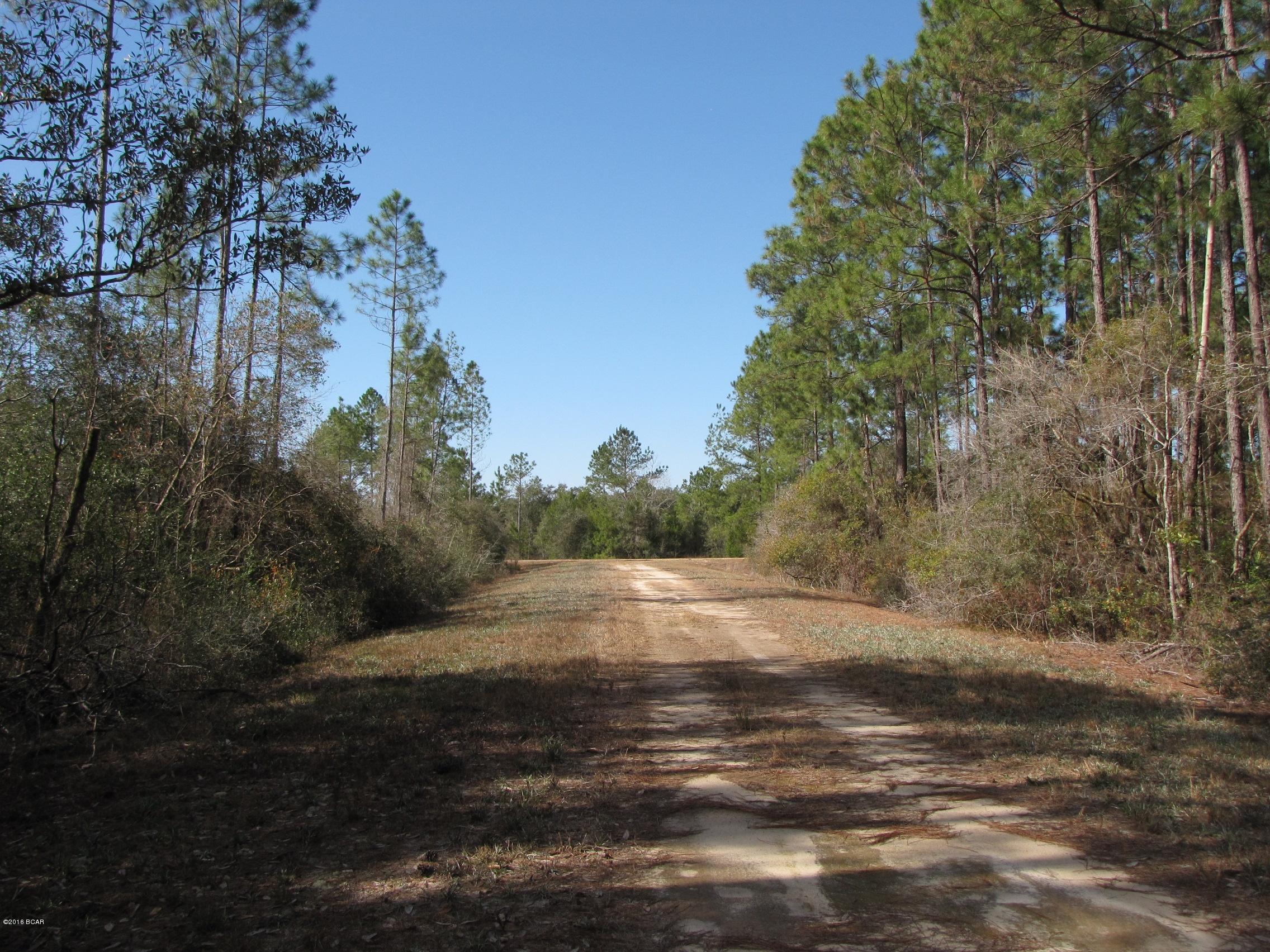 Compass Lake In The Hills - Land