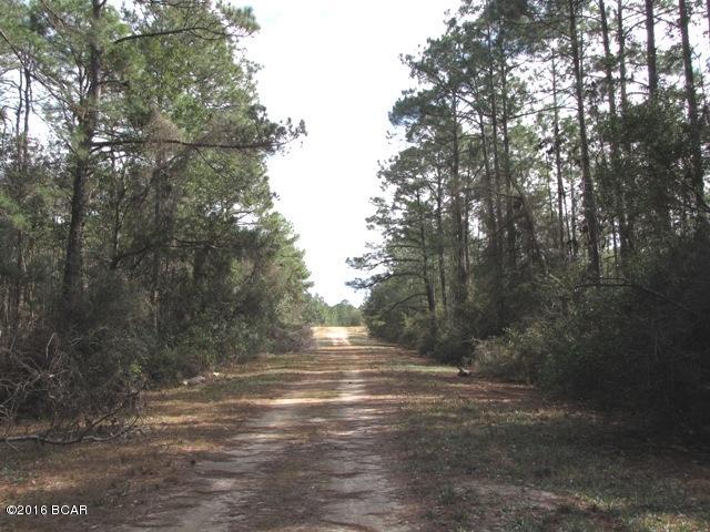 Compass Lake In The Hills - Land