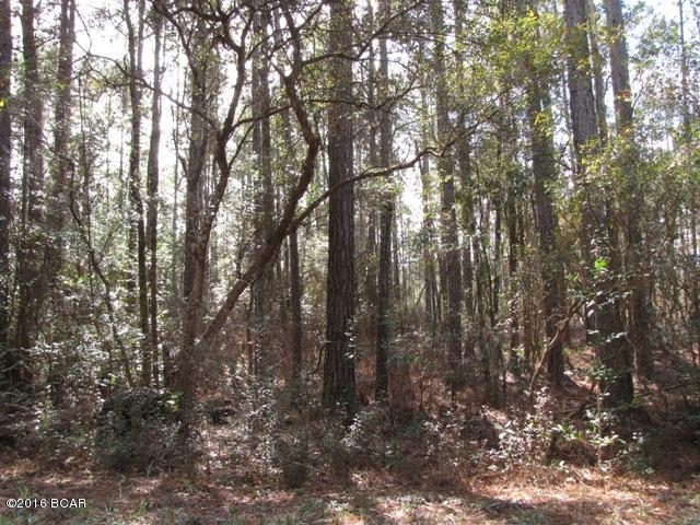 Compass Lake In The Hills - Land