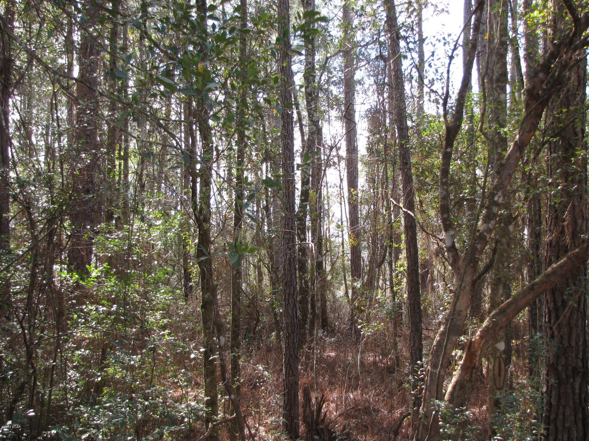 Compass Lake In The Hills - Land