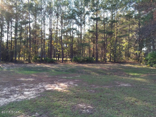 White Western Springs Unit 1 - Residential