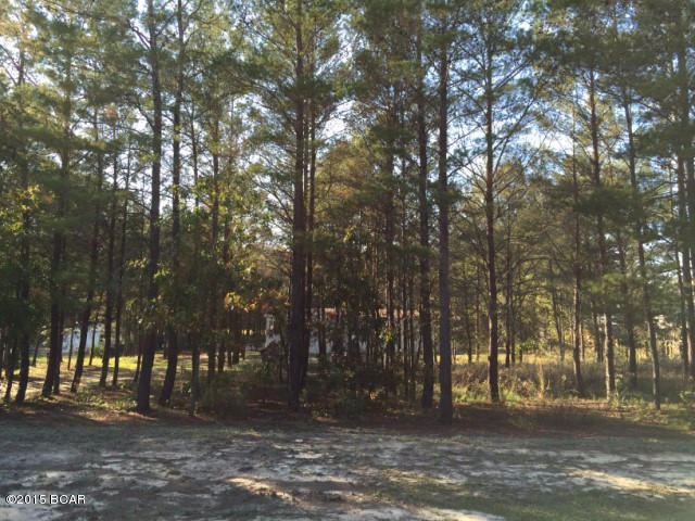 White Western Springs Unit 1 - Residential