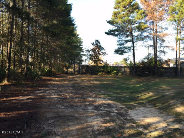 White Western Springs Unit 1 - Residential