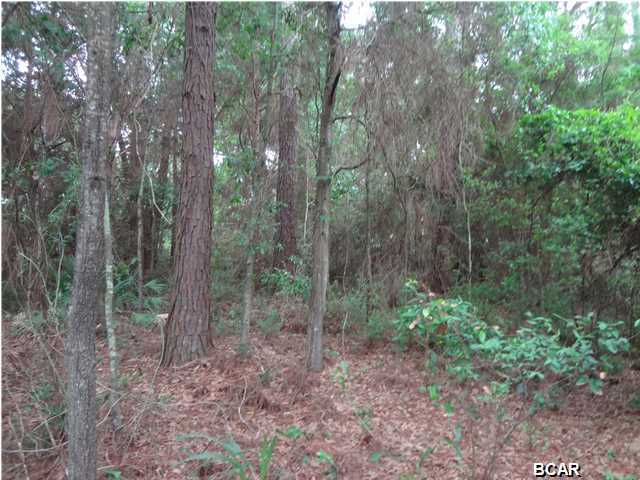 North Shore Unit 2 - Land