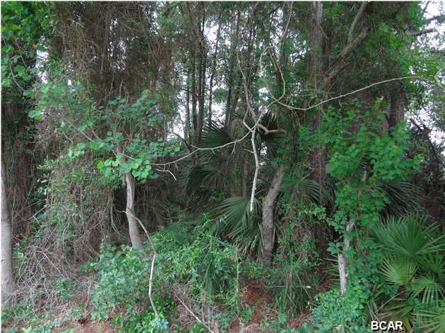 North Shore Unit 2 - Land