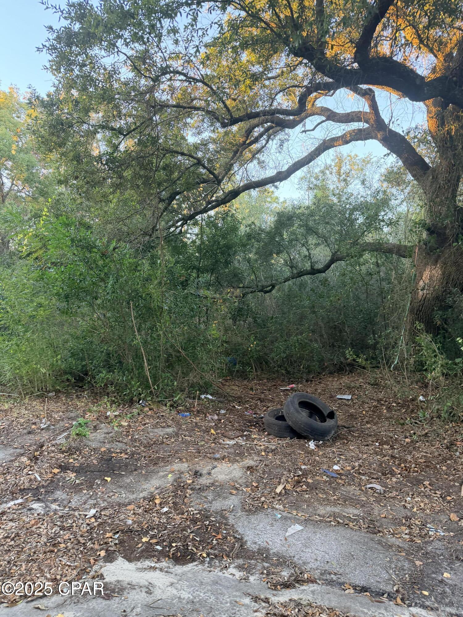 No Named Subdivision - Land