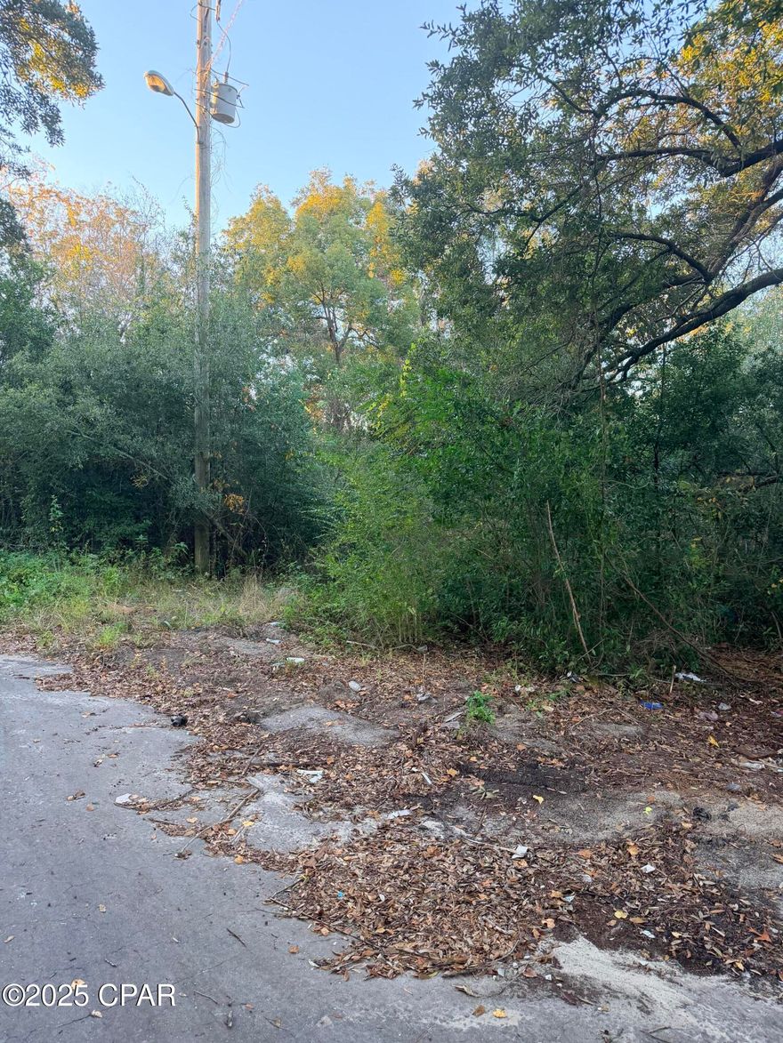 Lot zoned for Single Family Residential and is located in Panama City just off 17th Street. Lot is not cleared. Seller is motivated to move immediately. (land located next to property addressed at 1906 E 18th Street)
