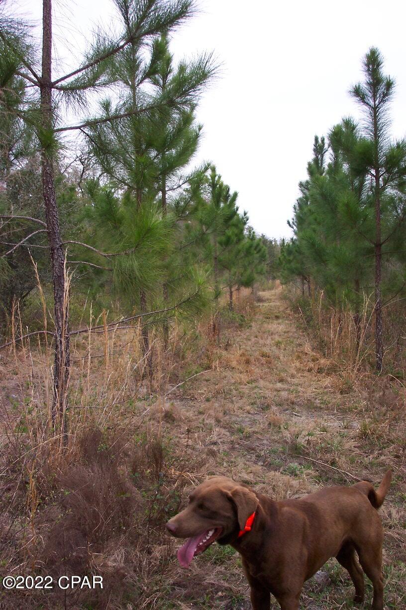 [No Recorded Subdiv] - Land