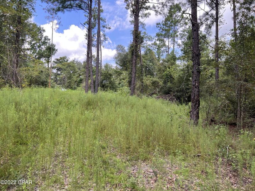 CURRENTLY UNDER CONTRACT, SELLER ACCEPTING BACKUP OFFERS  24 acres / Peaceful and quiet country living under Granddaddy size Oak trees.  Plenty of shade, and lots of  timber , well, septic, and power pole and old barn makes this so desirable.  Very convenient to Malone Fl, Marianna Fl, or Dothan Al, Donaldsonville Ga.  Excellent fishing and close to Neal's Landing on the River.  Buyer to verify if well and septic are still useful.  Seller states they were in working condition when he purchased it.