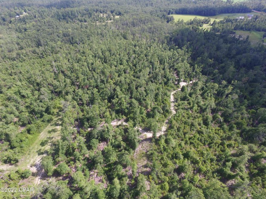 Beautiful 80+/- acres with a legal ingress and egress easement.  Property still has some down trees from Hurricane Michael but property is priced at a reduced rate per acre to allow room for clean up. Purchase shall include two parcels for a total of 80+/- acres.   Seller is motivated and said to bring all offers.