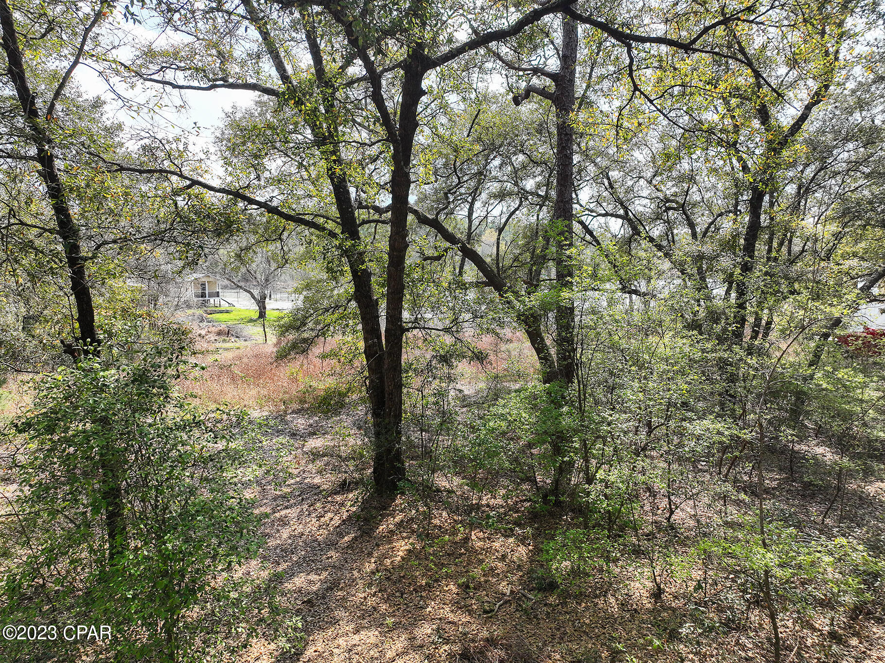 Pine Lake Estates - Land