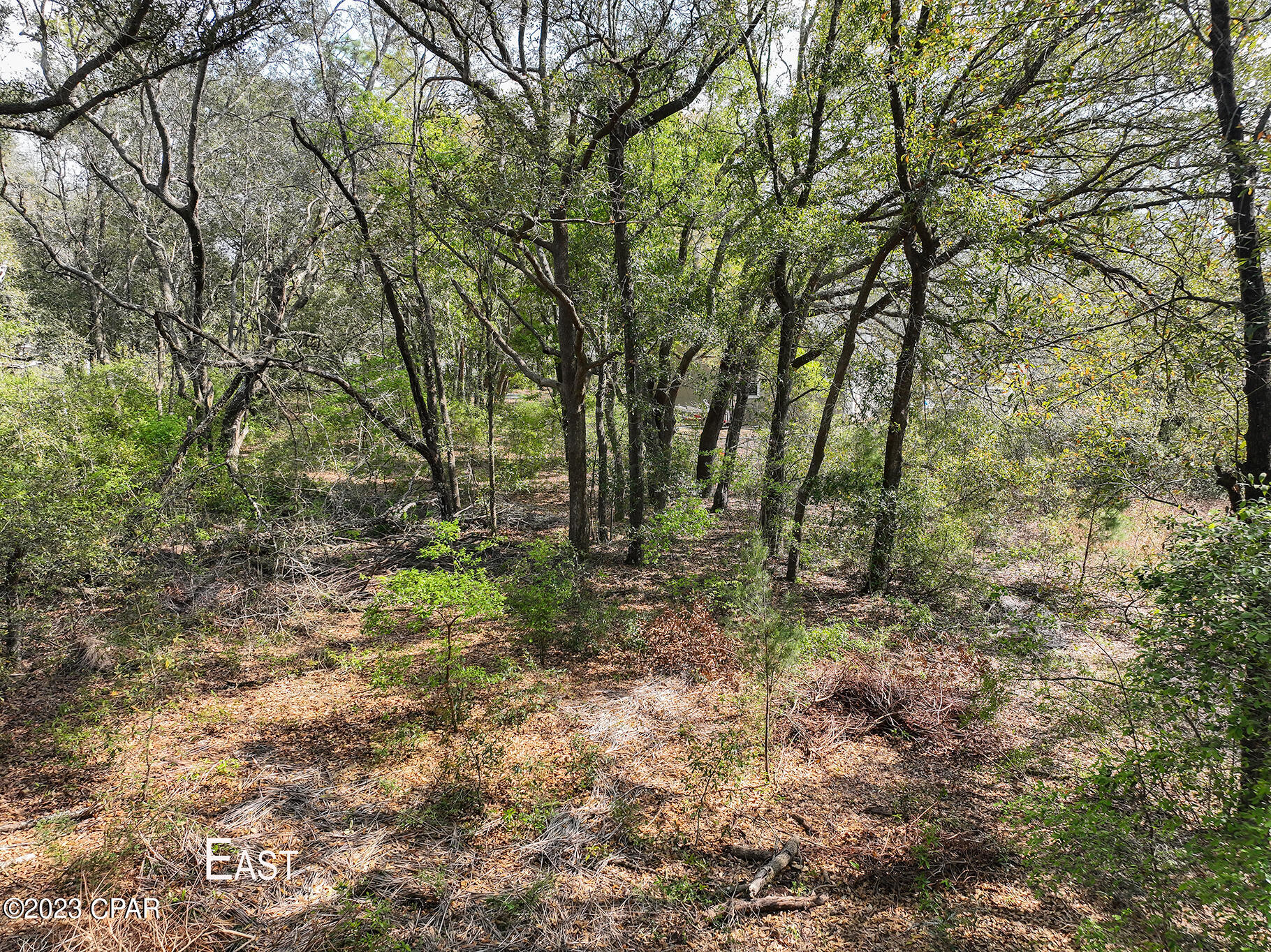 Pine Lake Estates - Land