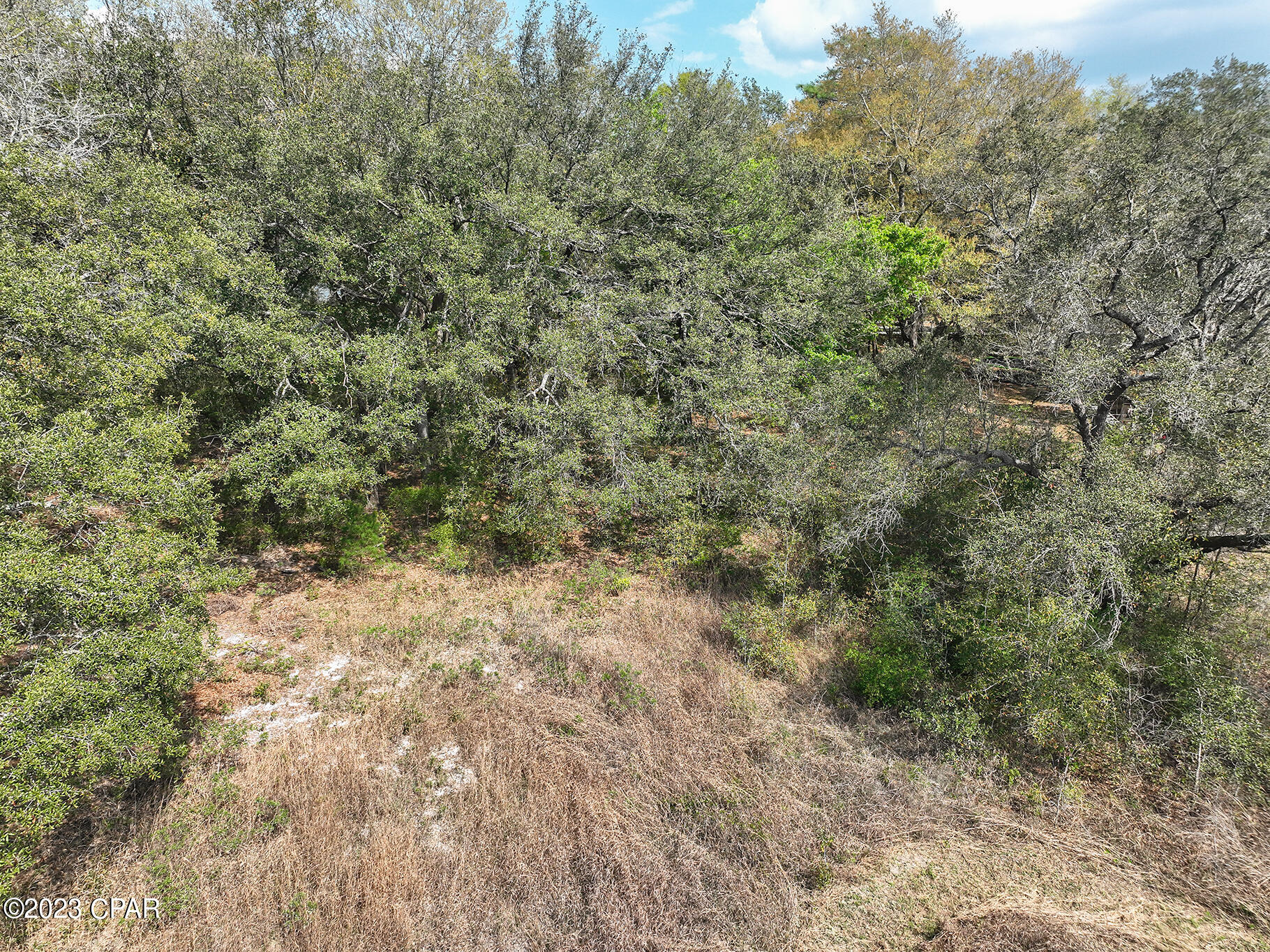 Pine Lake Estates - Land