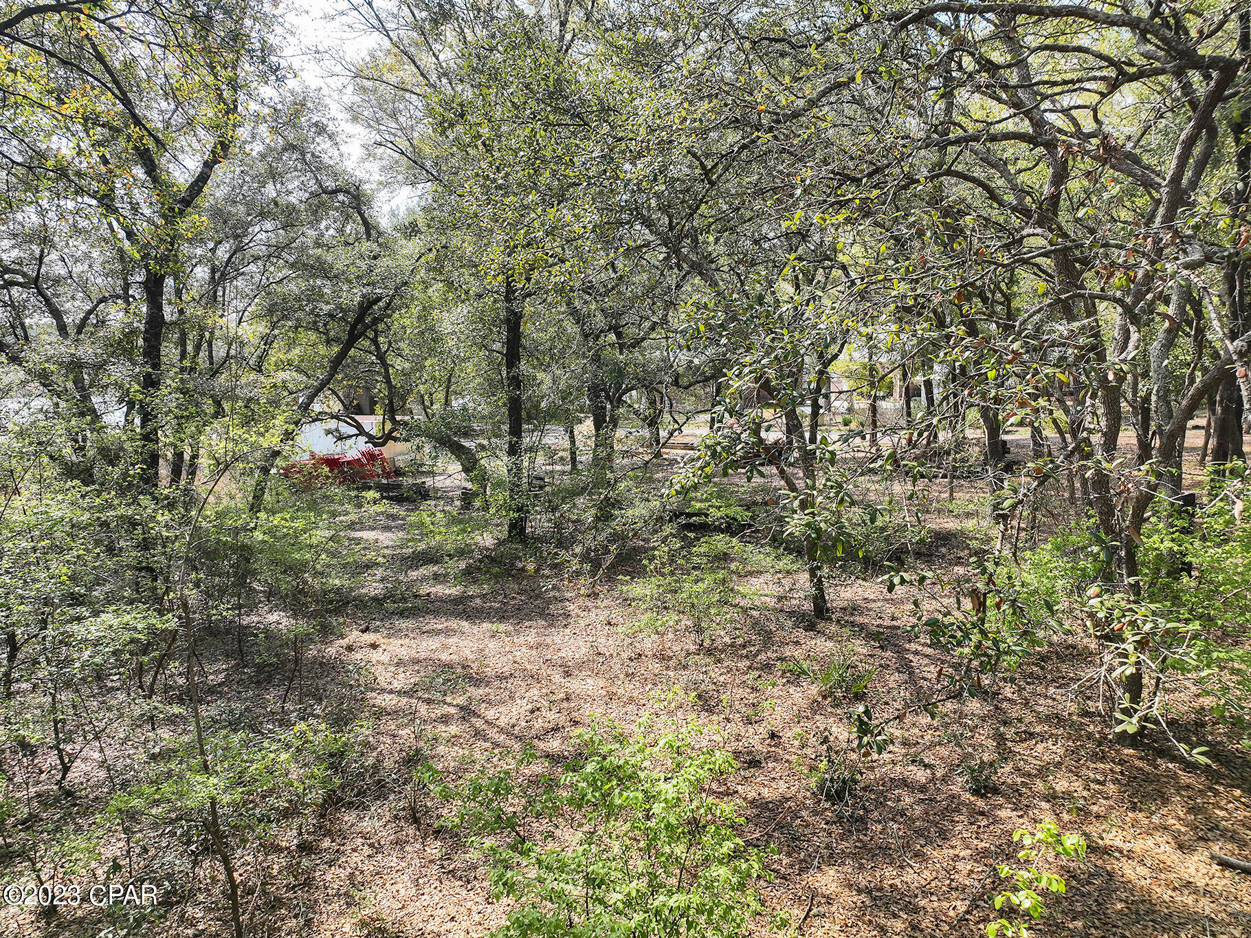 Pine Lake Estates - Land