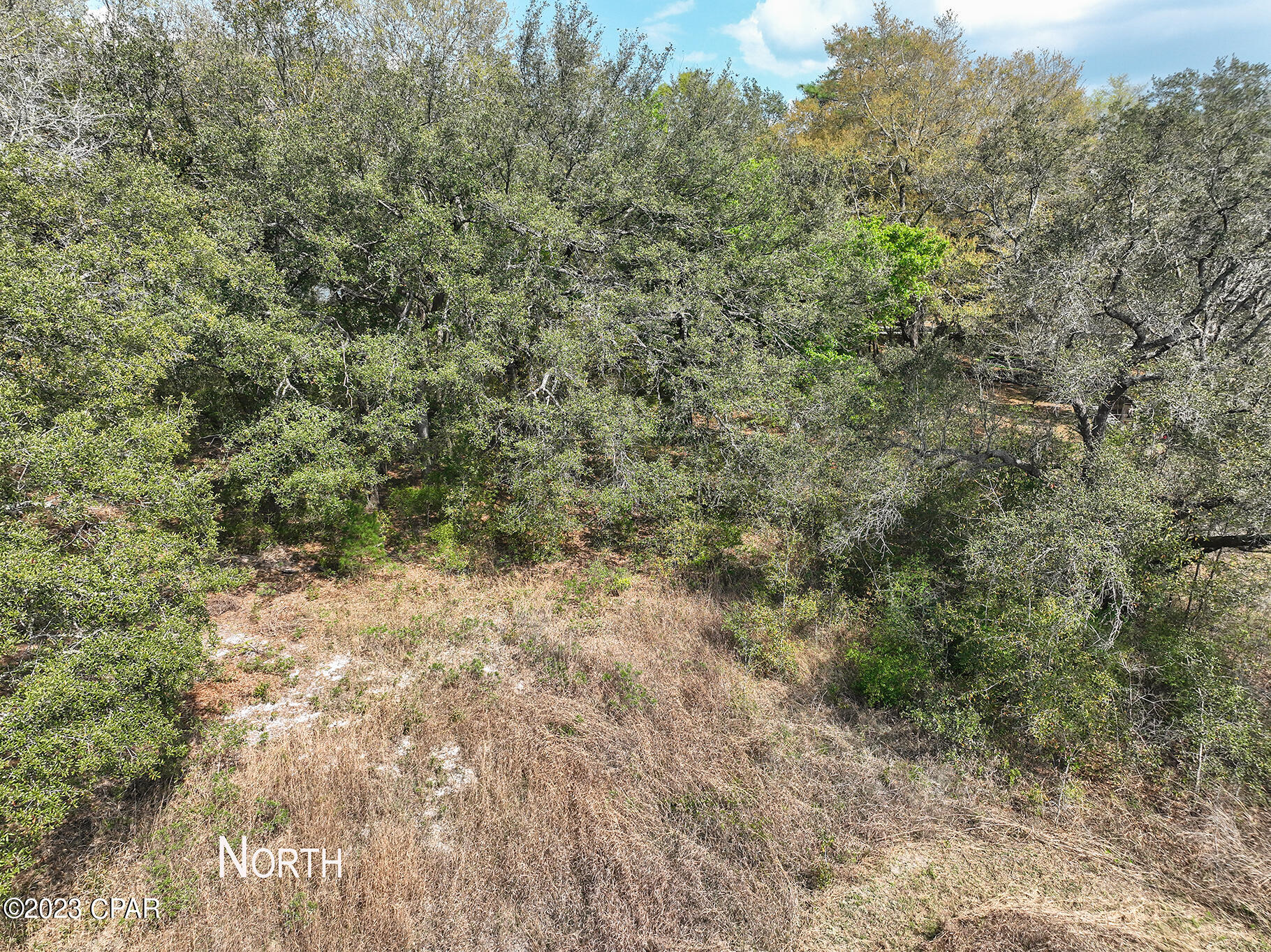 Pine Lake Estates - Land