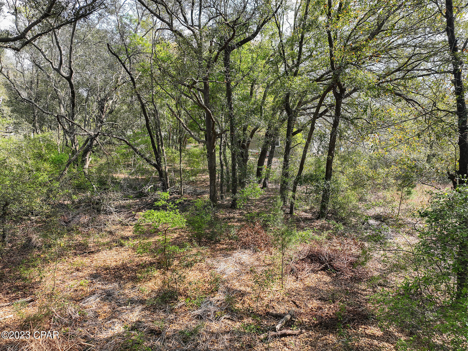 Pine Lake Estates - Land