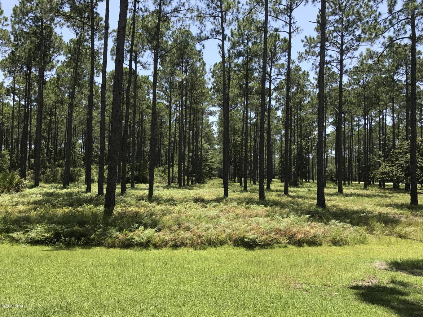 Rivercamps On Crooked Creek - Land