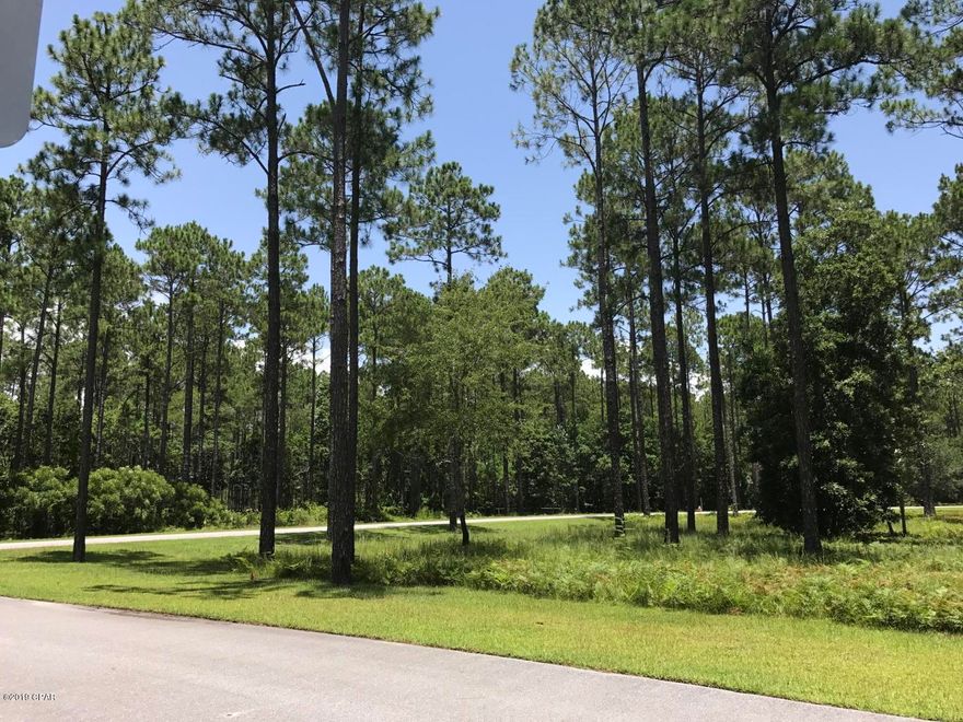 1.5 acres!! Amazing price for this DRY, LARGE, LEVEL, Gorgeous CORNER lot in Beautiful GATED St. Joe Community of Rivercamps On Crooked Creek! RiverCamps is a 1500 acre one-of-a-kind luxury community which boasts all the amenities you could ask for such as pool, workout facility, club house, miles of walking trails, bikes, kayaks, canoes, kitchens, PRIVATE BOAT DOCK, Private campground, all included with HOA fees and ALL OVERLOOKING THE BAY! Located minutes from Northwest Florida Beaches International Airport makes this Bay front community the perfect location to build your dream home! Pier Park with shopping, restaurants, cinemas and board walk is only a short 10 minute drive with less time to arrive at our world renowned white sandy beaches of the Emerald Coast!



Owner's Adjoining lot 162 also for sale. Combine and built a Florida Estate home on this 2.5 + acres. Demenions to be verified by buyer.
Selling agent has owner/interest.