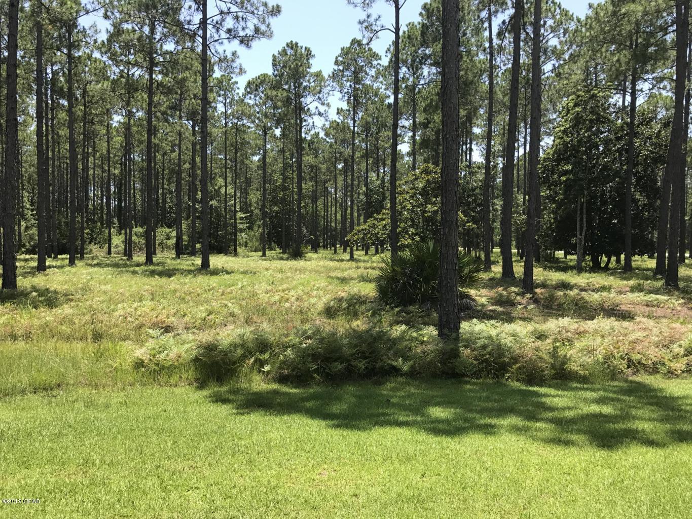 Rivercamps On Crooked Creek - Land