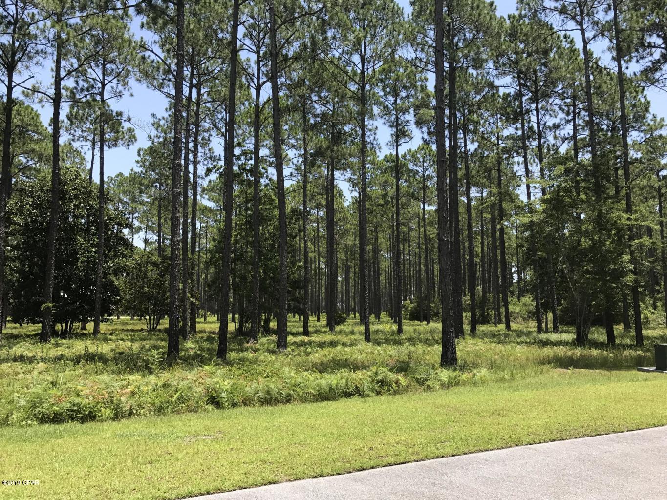 Rivercamps On Crooked Creek - Land