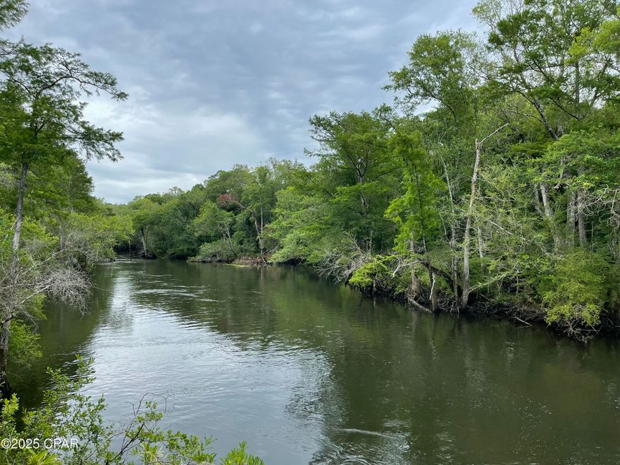 DEVELOPMENT OPPORTUNITY!! Build a new City! Approximately 240 acres on the newly 4 laned FL HWY 79, a major route into Panama City Beach, FL.  Hwy 79 goes through the brand new LATITUDE MARGARITAVILLE, WATERSOUND, FLORIDA, with approximately 150,000 planned homes, 2000 of which have already sold.  This development is less than 30 minutes away.  This 240 acre tract has approximately 1/2 mile of frontage BOTH SIDES of FL HWY 79, AND approximately 1/2 mile of frontage on Washington County Hwy 279 (Pate Pond Rd), PLUS approximately 1/2 mile of frontage on the Canoe Lovers Holmes Creek. Previous development efforts led to agreements between The City of Vernon, FL and Washington County, FL to cooperate in development with commercial, medium density and high density land uses.