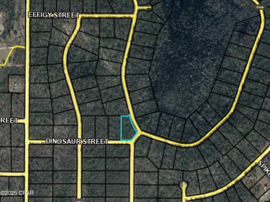 2 Beautiful oversized residential lots located side by side in the Compass Lake in the Hills Subdivision. One on Grand Quiviera & one located beside it on Dinosaur St. HOA is voluntary but gives you access to a lot of amenities if you do choose to pay for it which includes access to 2 gorgeous lakes, cabin rentals, pavilion use, swimming pool, golf, boat launch ramp & some RV facilities. Located a short drive from Panama City Beach, Tyndall Air Force Base, & Panama International Airport in one direction with Marianna, Fl. & Dothan, Alabama in the other direction. If you enjoy peace, quiet, & seclusion, this is the opportunity for you to build your home & watch the wildlife, swim, & fish
