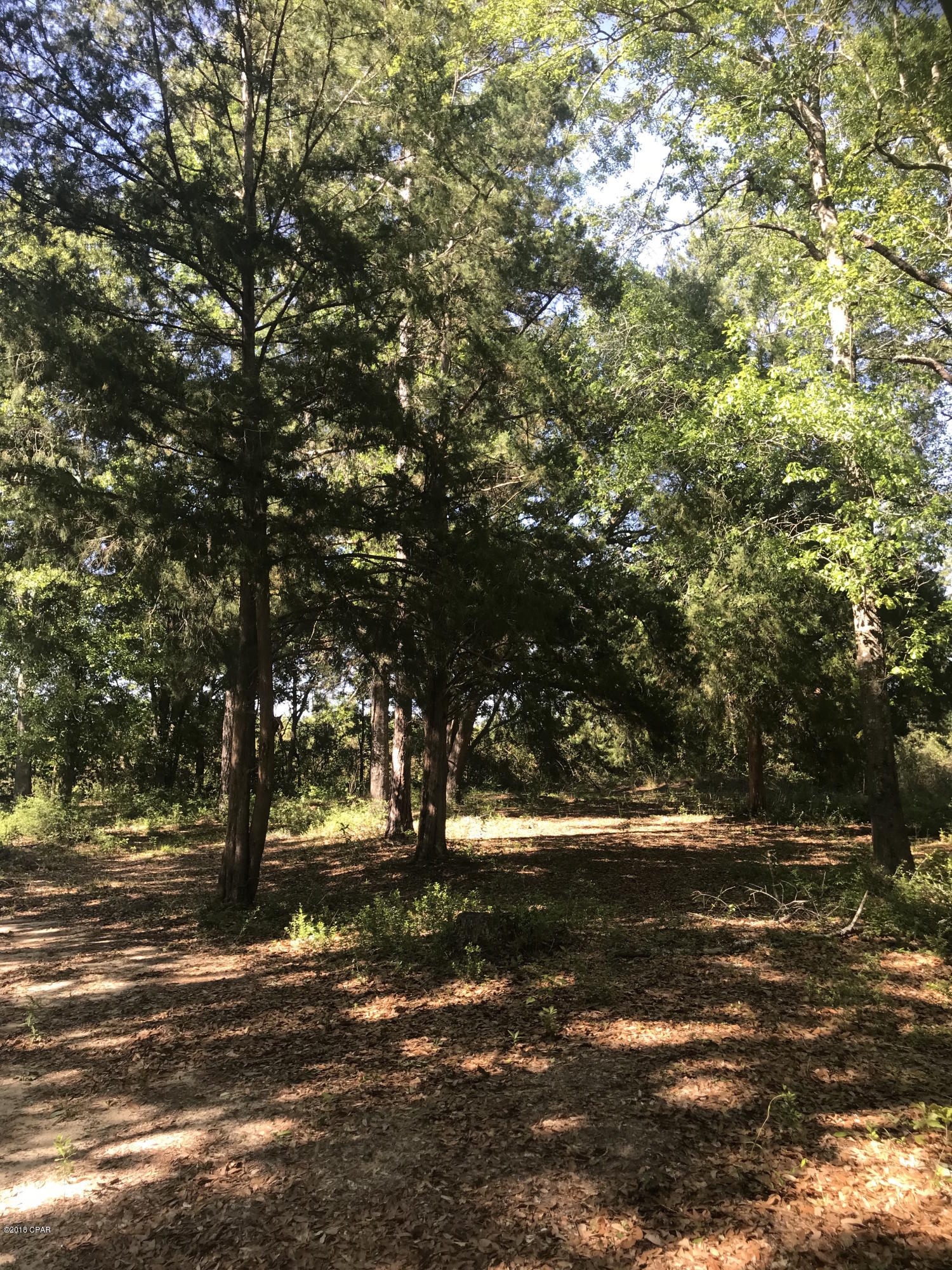 Cedar Wood Estates Ph I - Land