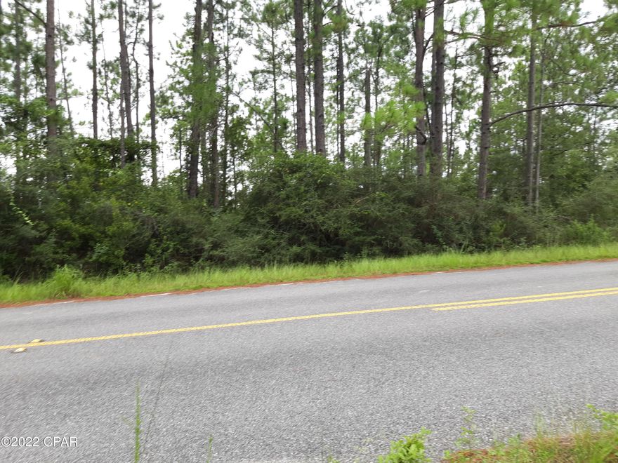 Lot in undeveloped area of Sunny Hill, but on a paved county road with electric available. Sunny Hills offers numerous lakes and boat ramps and a popular 18-hole golf course. 30 miles from Panama City & 20 Miles from Chipley.  Deed restricted community, no HOA.  Subject to Sunny Hills Unit 16 deed restrictions of record (see documents).  Taxes include $36.94 MSBU annual assessment.