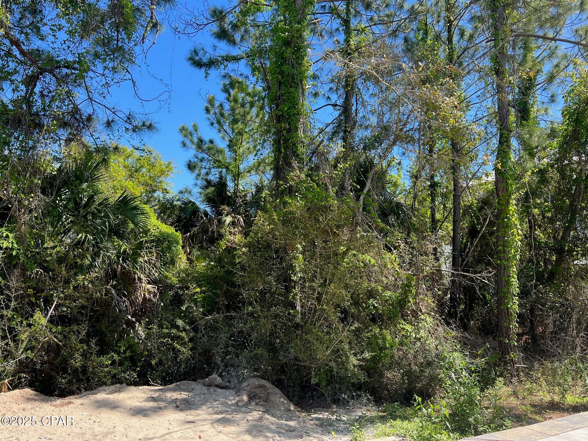 Carillon Beach - Land