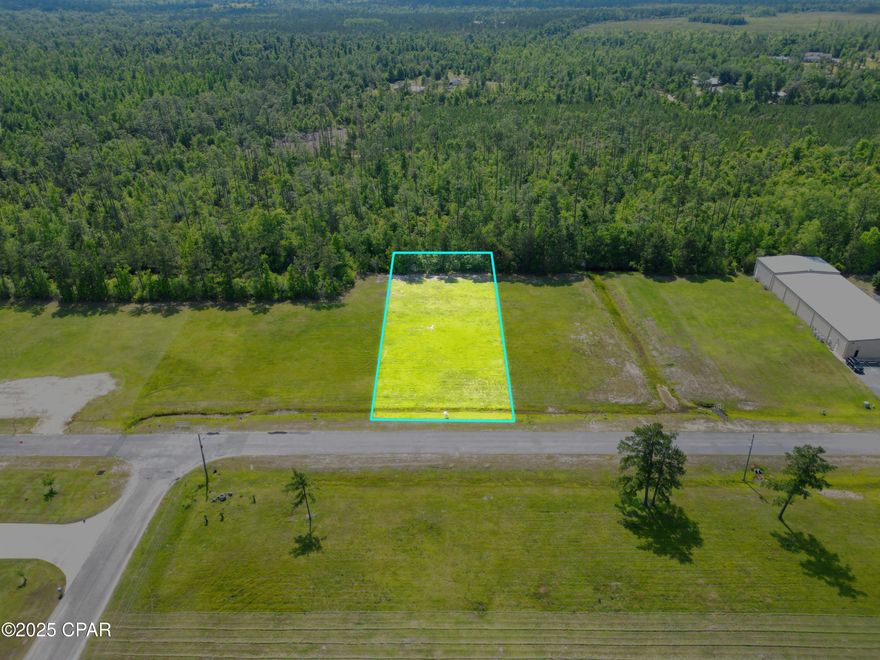 Beautiful high and dry .64 acre commercial lot in college town offering all utilities and high traffic patterns. Accessible via entrance on 2 highly traveled roads: Hwy 90 and Hwy 71.  Located less than 5 minutes from Interstate 10 (Exit 142) and big box stores like Walmart and Lowes.  Very close proximity to recreation: Camping, Spring Creek tubings, and Merritt's Millpond offering boating, kayaking, swimming, cave diving, and world-class fishing.