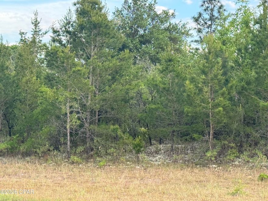 Looking for a nice lot in South Washington County to build your new home or invest in a growing community , this could be your lot. Only 45 minutes to The Worlds Most Beautiful Beaches and Northwest Florida Beaches International Airport. This property has several nice Lake's for fishing and swimming, a 18 hole golf course that everyone enjoys playing. Contact a realtor today for more information.
