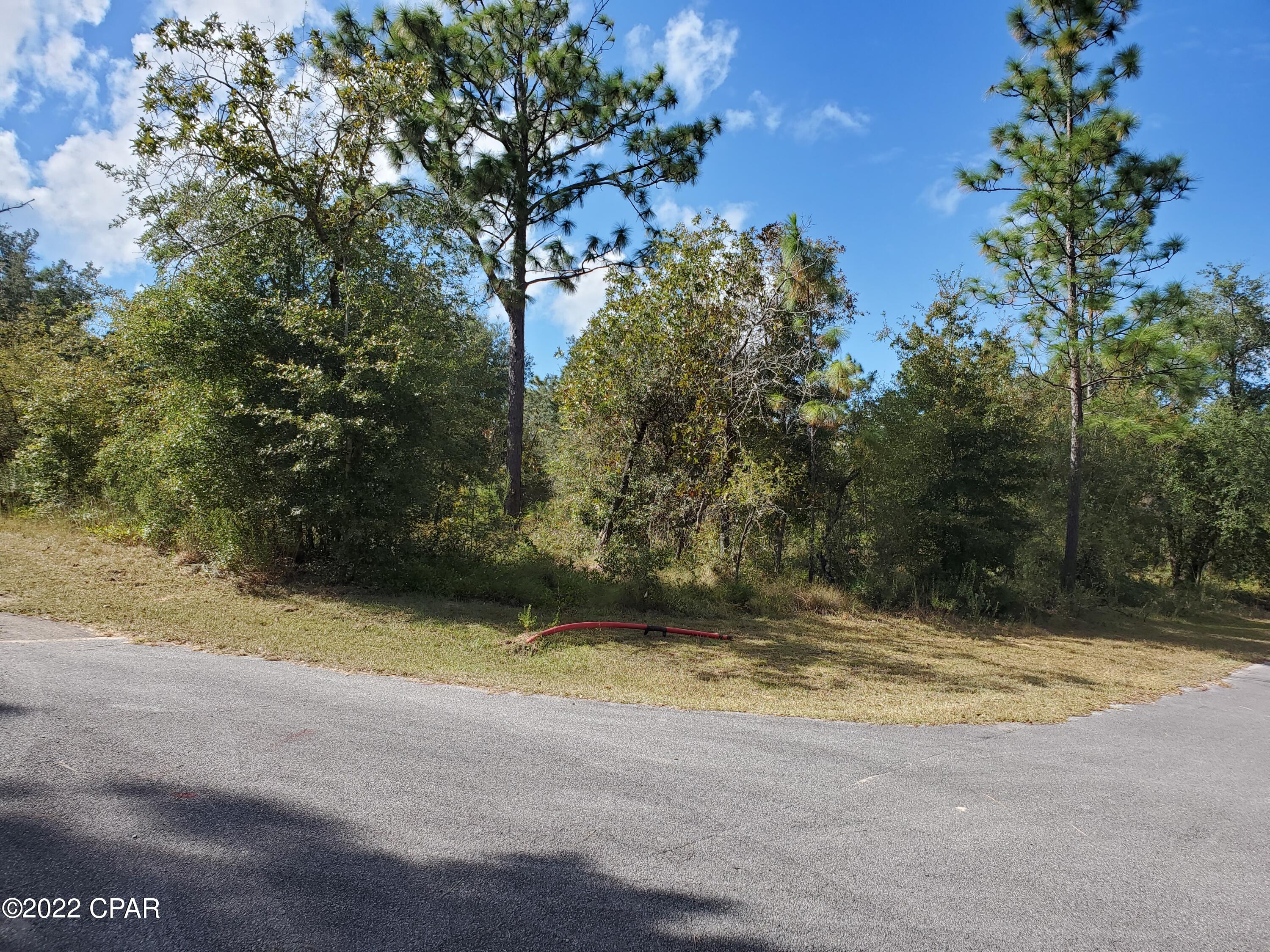 Leisure Lakes 1st Add - Land