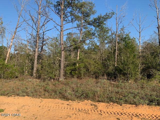 Compass Lake Hills Unit 4 - Land