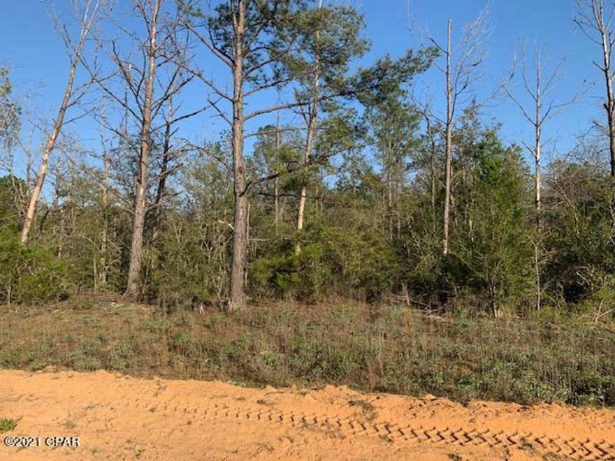 Beautiful wooded lot with many native trees to build your dream home, in the Compass Lake in the Hills subdivision. With lot ownership you have access to all amenities including 2 Lakes, clubhouse facilities, RV parking, golf driving range, tennis/swimming pool and more.  There is no HOA/fees, but a voluntary annual maintenance fee of $135 requested for upkeep of the common areas. Deed restrictions apply and are attached in the Documents section. Centrally located to afford easy access to Panama City Beach, Dothan, Alabama and I-10.