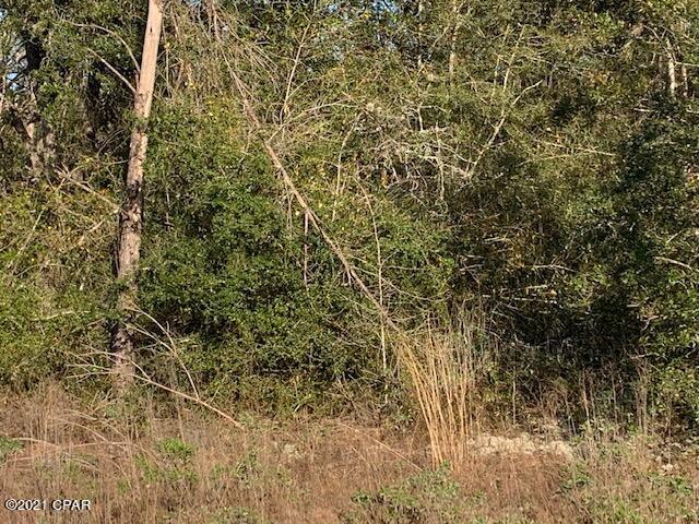 Compass Lake Hills Unit 4 - Land