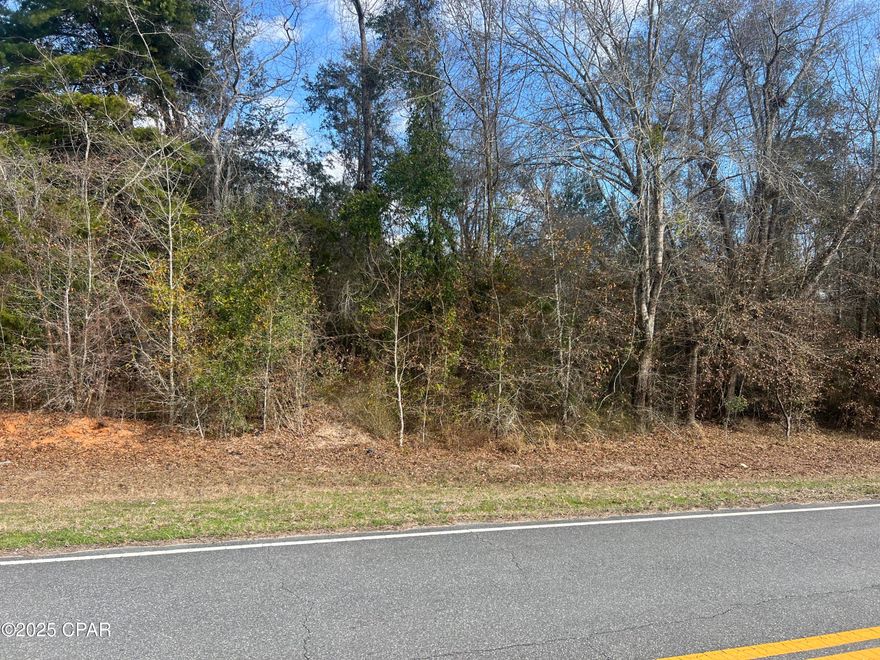 4.5 ACRES WITH HWY FRONTAGE IN EASTERN JACKSON COUNTY.  APPEARS HIGH AND DRY.  ACCORDING TO COUNTY FLOOD MAP NOT IN A FLOOD ZONE. WOODED SO PICK YOUR SPOT FOR YOUR HOME OR MOBILE HOME.  QUIET AREA.  LOTS OF WILDLIFE IN THE AREA. EASY ACCESS TO HWY 90 AND I-10.