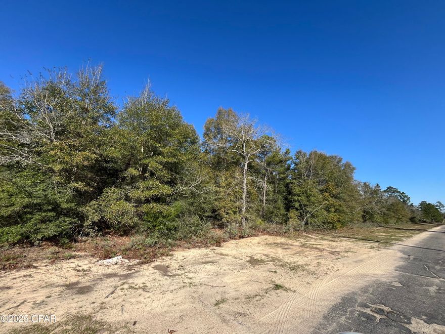 Less than a quarter of a mile off of Hwy 77 and less than a half mile away from the new Dollar General Market, this lot is perfect for someone looking for convenience. It is located on the North end of the subdivision, closer to Chipley and Wausau. The spot this lot sits in, is made up of a smaller section, not connected to all of the main areas in the subdivision. Making for less traffic, yet still close to everything. Bring your building plans and make this your new home-site. For nature lovers and outdoor enthusiasts, Gap Lake has great fishing and is not too far away either, it is an 800+ acre freshwater paradise. Enjoy serene views of majestic cypress trees and experience excellent fishing opportunities right in your neighborhood. Additionally, a county boat ramp on Gap Lake makes for easy access to all your water adventures. Sunny Hills is a growing golf course community with a lot of new construction happening. It's ideally situated just under 30 minutes from both Chipley, Lynn Haven, and the airport- offering the best of both worlds: a slower, laid-back lifestyle while still being close to city amenities. Plus, you're less than an hour away from the white sands of Panama City Beach! Sunny Hills also offers many freshwater lakes for fishing and boating and also a swim park at spring-fed Boat Lake for seasonal fun. This deed-restricted lot is reserved for building only, ensuring a well-maintained community without the burden of HOA fees. Enjoy the tranquility and convenience of life in Sunny Hills! Buyer to do their own due diligence about getting utilities on the property. Buyer to pay for title fees/title policy.