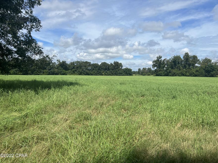 CHOICE - 20.78 acres of Pasture Land on Hwy 2 3.5 miles west of Malone Fl.  Highway frontage with electricity available. Would make excellent home sites/ good horse farm, or use it for hay field or grow crops.  You can't go wrong with this beautiful land.  Appears to be a small pond on the NW corner.  Perfect for horses or cattle.  Your choice. Graded road that runs the back of the property for another access .