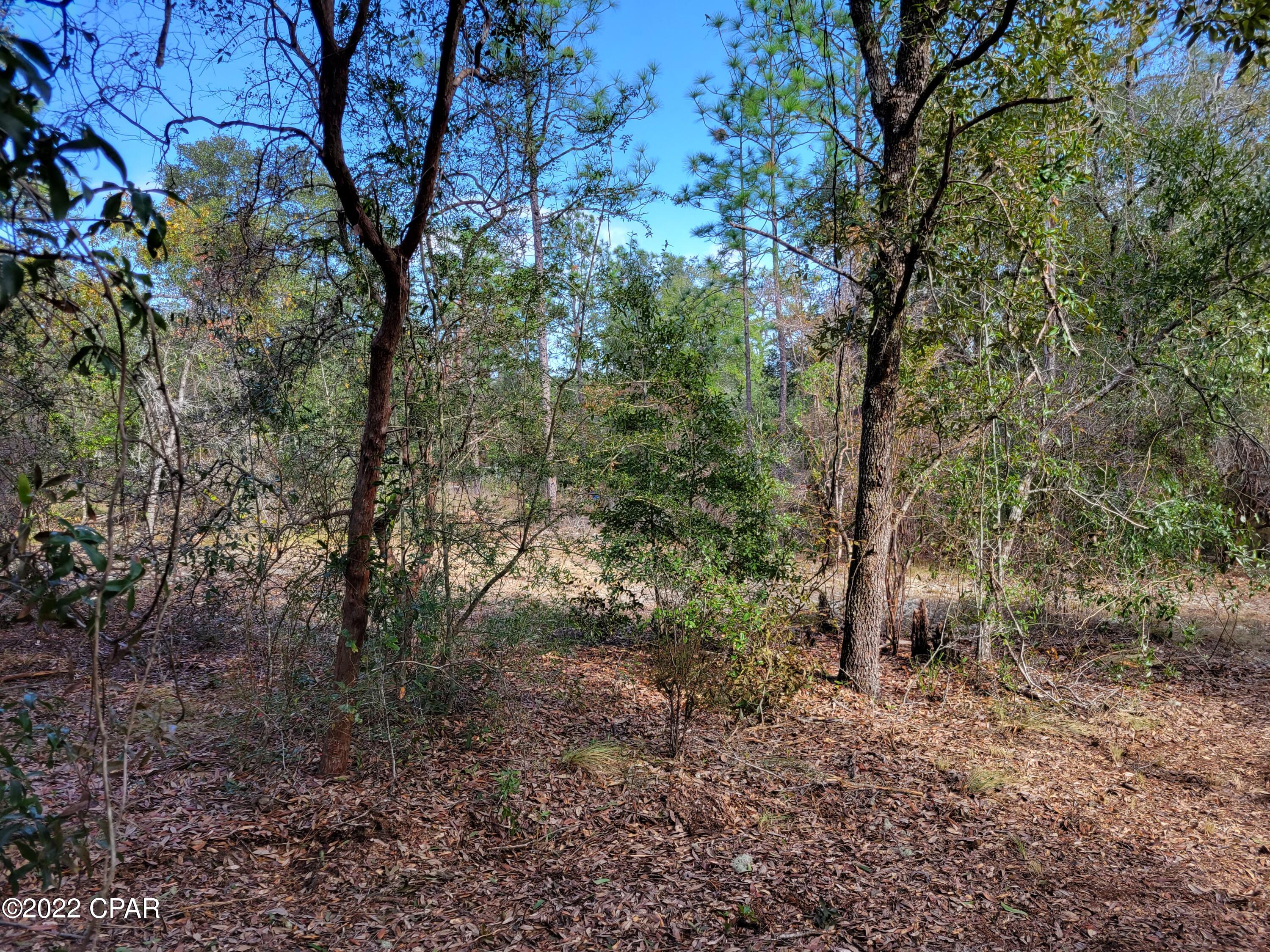 Leisure Lakes - Land