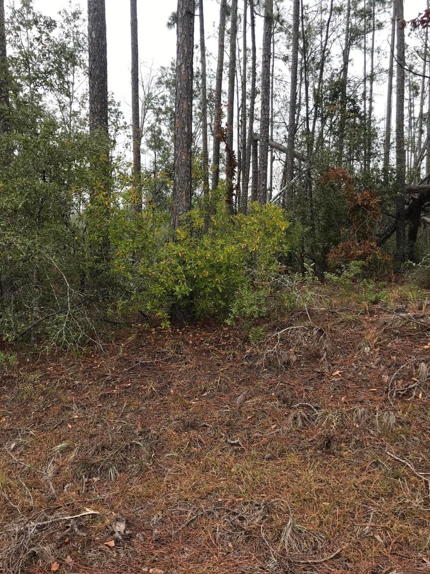 Nice lot with a stream on the property, wooded with a few trees down.  Includes all the amenities of CLH including swimming pool use, rental cabins, boat ramp, access to McCormick Lake, etc.  Within 45 minutes to Panama City, close to I-10 and Marianna.