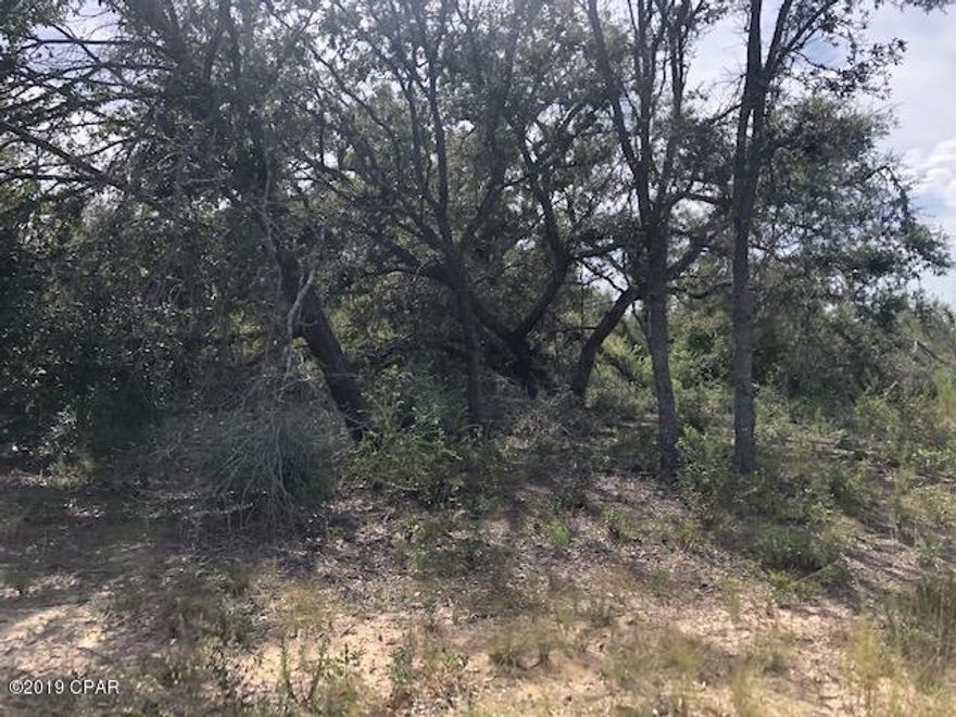 This is a 10 acre parcel of wooded land in Washington County.  There is an old house on the property of no value.  It is in a secluded location. There was a well and septic on the property but condition now is unknown.   The location is convenient to Fountain and then just a short drive on down to Panama City on the coast, home of some of the world's most beautiful beaches.