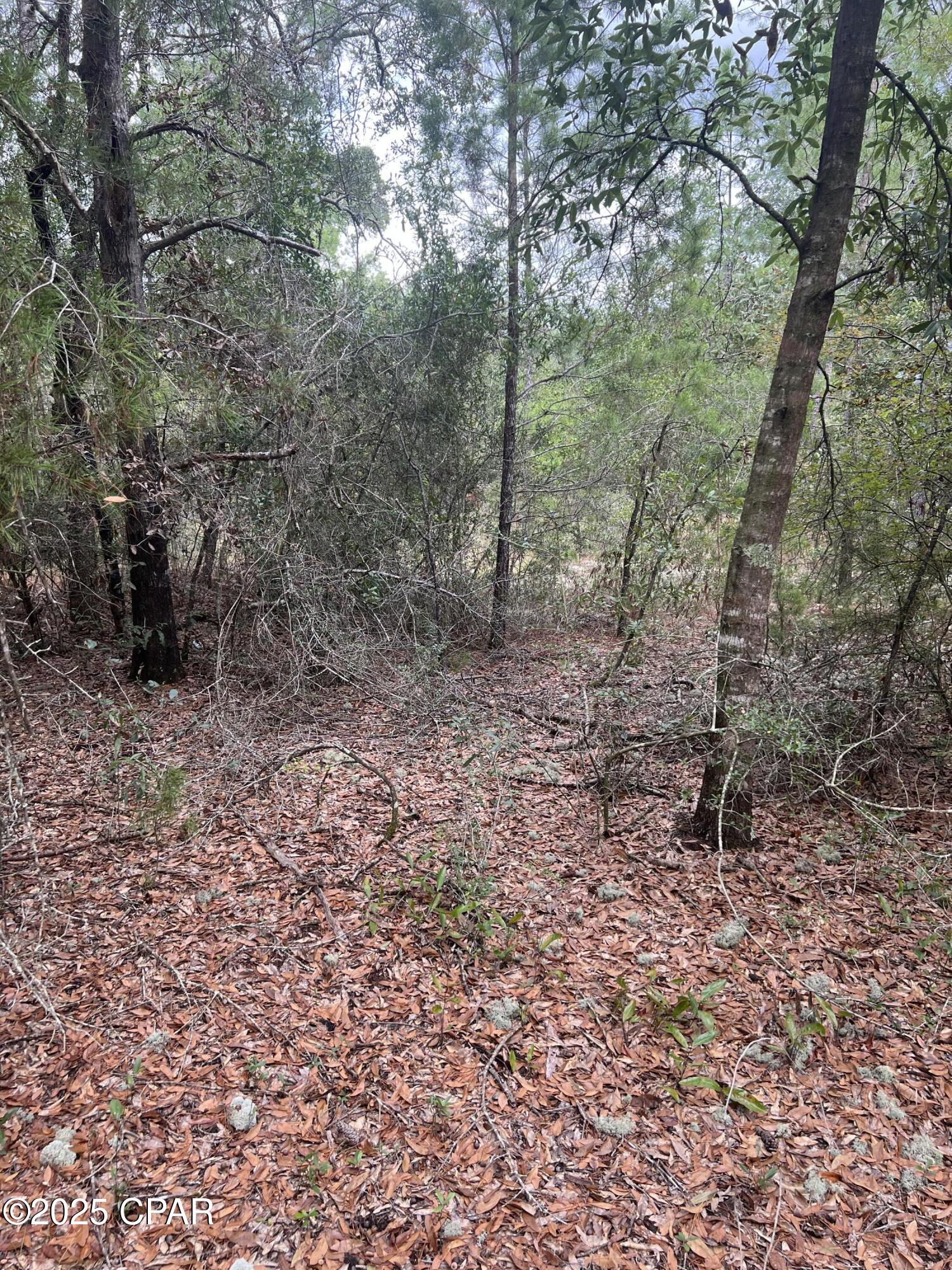 Sunny Hills Unit 1 - Land