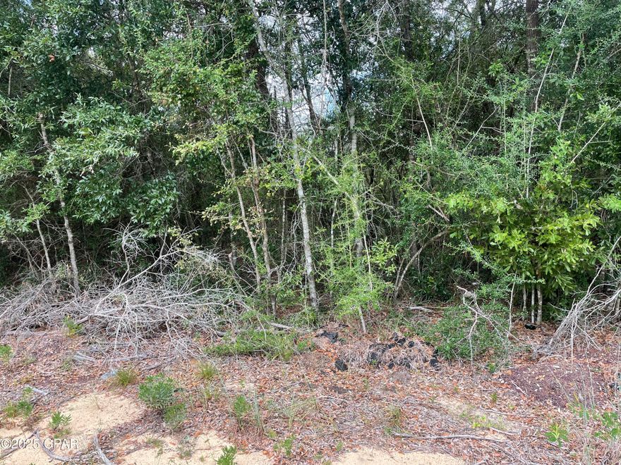 Here is a beautiful .36 acre lot in Sunny Hills that would be perfect to build your dream.  This lot is high and dry with beautiful trees, on a paved road and electric is already nearby.  Sunny Hills features a great golf course, several lakes and is just a short drive to Panama City and the beautiful Gulf beaches!
